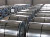 prime quality hot dipped galvanized steel coil