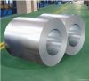 prime quality hot dipped galvanized steel coil