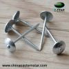 Umbrella head galvanized roofing nail from factory