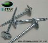 Umbrella head galvanized roofing nail from factory