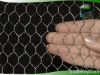 Electro galvanized hexagonal wire mesh with very competitive price