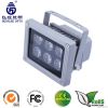 LED Flood Light