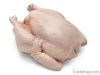 Export Whole Chicken Meat | Chicken Meat Suppliers | Poultry Meat Exporters | Chicken Pieces Traders | Processed Chicken Meat Buyers | Frozen Poultry Meat Wholesalers | Halal Chicken | Low Price Freeze Chicken Wings | Best Buy Chicken Parts | Buy Chicken 