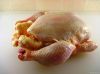 Export Whole Chicken Meat | Chicken Meat Suppliers | Poultry Meat Exporters | Chicken Pieces Traders | Processed Chicken Meat Buyers | Frozen Poultry Meat Wholesalers | Halal Chicken | Low Price Freeze Chicken Wings | Best Buy Chicken Parts | Buy Chicken 