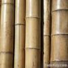 bamboo materials