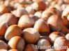 Hazelnuts