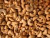 Dried Fruits | W240 Ca...