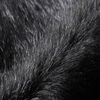 Black fox fur