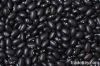 Black Beans
