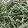 Alfalfa hay in big bales for animal feeding