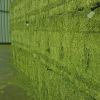 Alfalfa hay in big bales for animal feeding