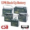 UPS Back-Up Battery