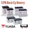 UPS Back-Up Battery