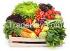 Fresh Vegetables