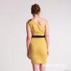 Fitting Slim Ladies Dress