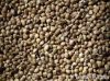 Flax Seeds, Jatropha S...