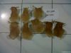 Fish maw