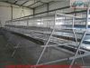 battery cage automatic poultry cage