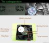 50*50*10mm 12v 24v dc fan