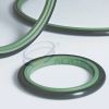 PTFE Step Seal