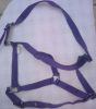 PP Horse Halters blue with rubber padding , size pony cob,full