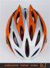 Bicycle Helmet (RJ-A006)