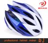 Bicycle Helmet (RJ-A006)