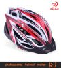 Popular Bike Helmet (RJ-A003)