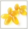 REISHI SPORE OIL SOFT ...