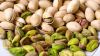 Pistachio Nuts, Cashew Nuts, Macadamia Nuts, Pecan Nuts, Pine Nuts, Brazil Nuts, Hazel Nuts, Almond Nuts, Walnuts, Betel Nuts, Ginkgo Nuts, Apricot Kernels, Cacao Nibs