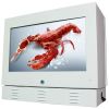 22 inch double sides lcd advertising screen, gas station tv, pump video display