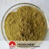 Artichoke Extract Powder CAS NO 84012-14-6