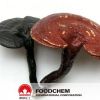 Natural Ganoderma Lucidum Extract
