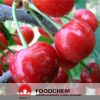 Natural Acerola Cherry Extract Vitamin C
