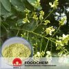 Free Samples Sophora Japonica Extract