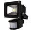 LED Floodlight