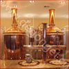 mini beer brewery equipment 300L housebrew machine