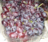 Fresh Grapes