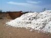 raw cotton importers,r...