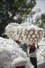 raw cotton importers,r...