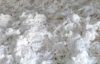 raw cotton importers,r...