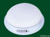 ceiling emergency lighting with low power consumption rechargeable battery