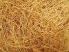 Bristle Fiber