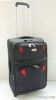 DELISAIER TROLLEY CASE