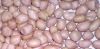 Groundnut Kernels/ pea...