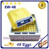 Newest Design Automatic Mini Chicken Eggs Incubator With Wholesale Price (EW-48)