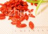 Wholesale, Ningxia Goji wolfberry from China Ningxia, Organic and Excellent