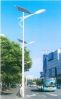 Solar LED garden lamps,special solar LED street lamps for the decoration of the building and the garden
