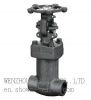 Forged steel gate valve