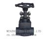 Forged Steel Globe Valve